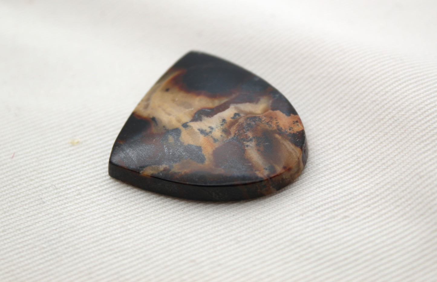 Petrified Wood Gemstone Cabochon