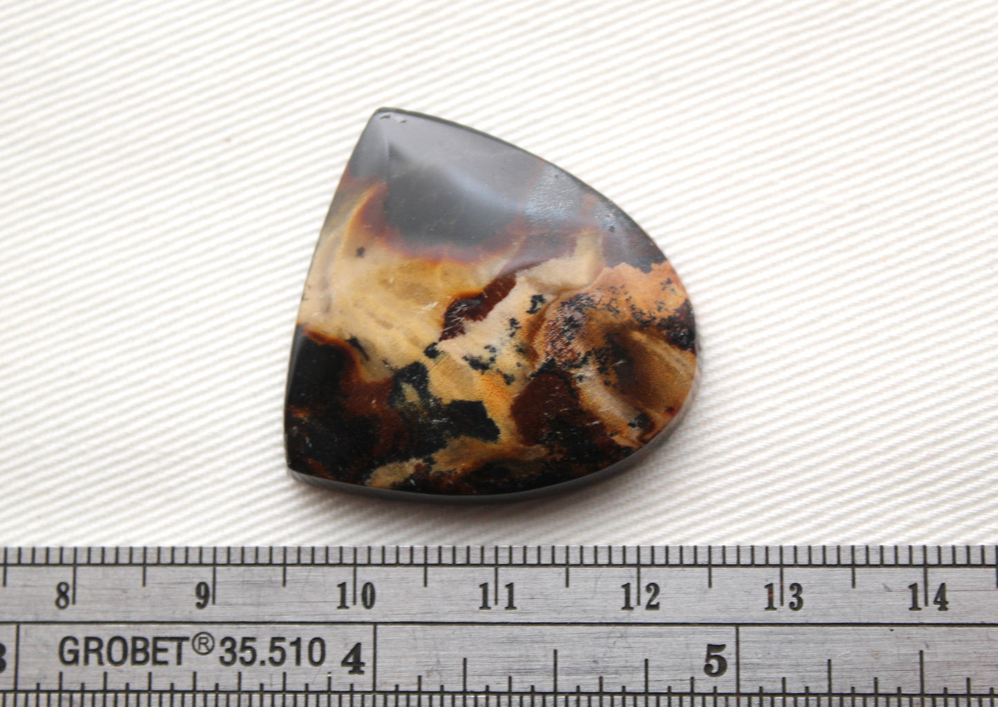 Petrified Wood Gemstone Cabochon