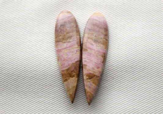 Pink Fossil Wood Pair of Gemstones cabochon natural