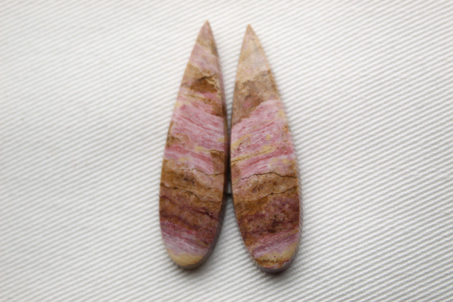 Pink Fossil Wood Pair of Gemstones cabochon natural