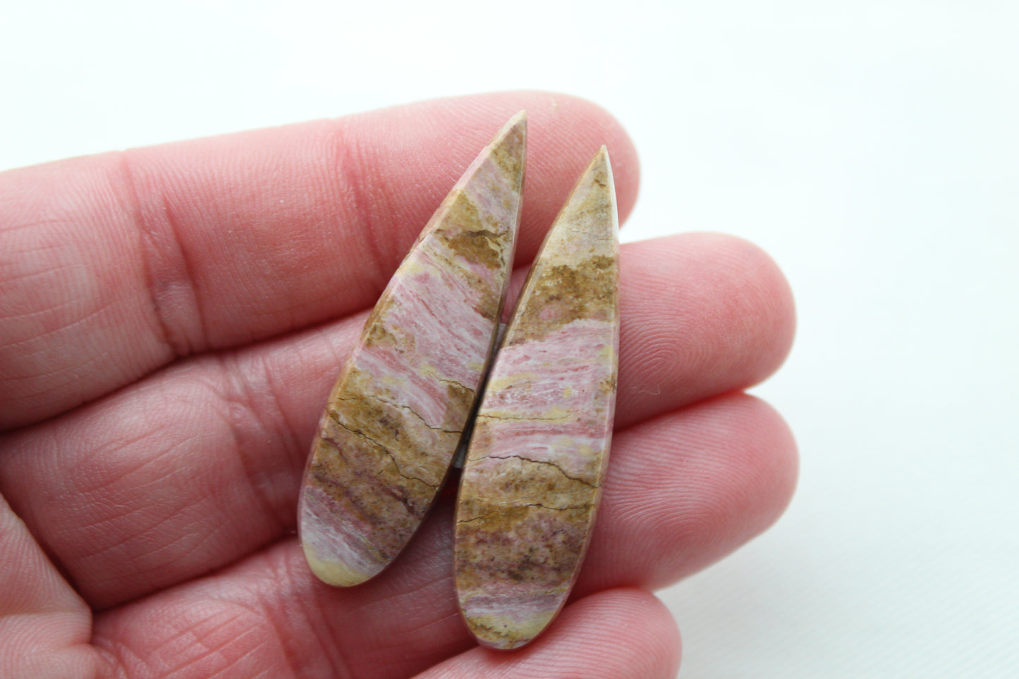 Pink Fossil Wood Pair of Gemstones cabochon natural