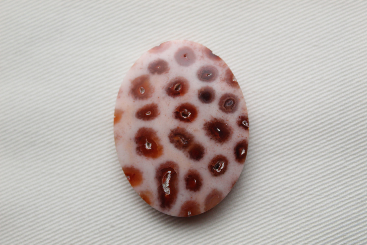 Fossilized Coral Gemstone Oval cabochon