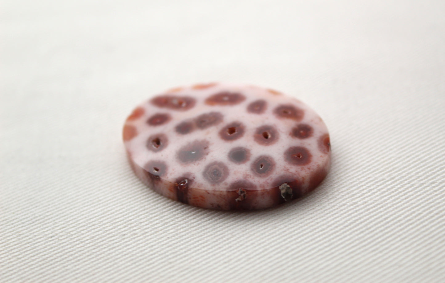 Fossilized Coral Gemstone Oval cabochon