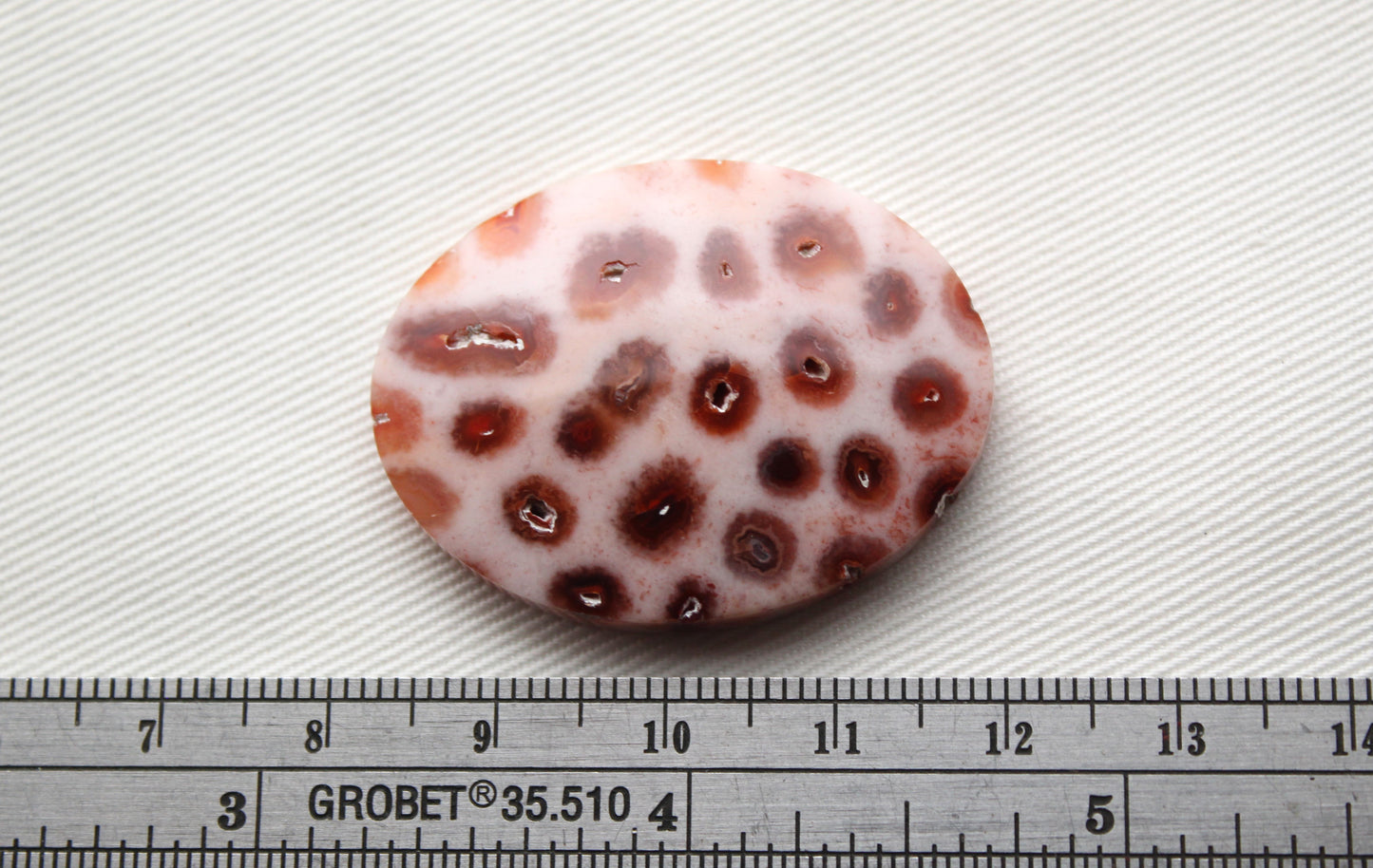 Fossilized Coral Gemstone Oval cabochon