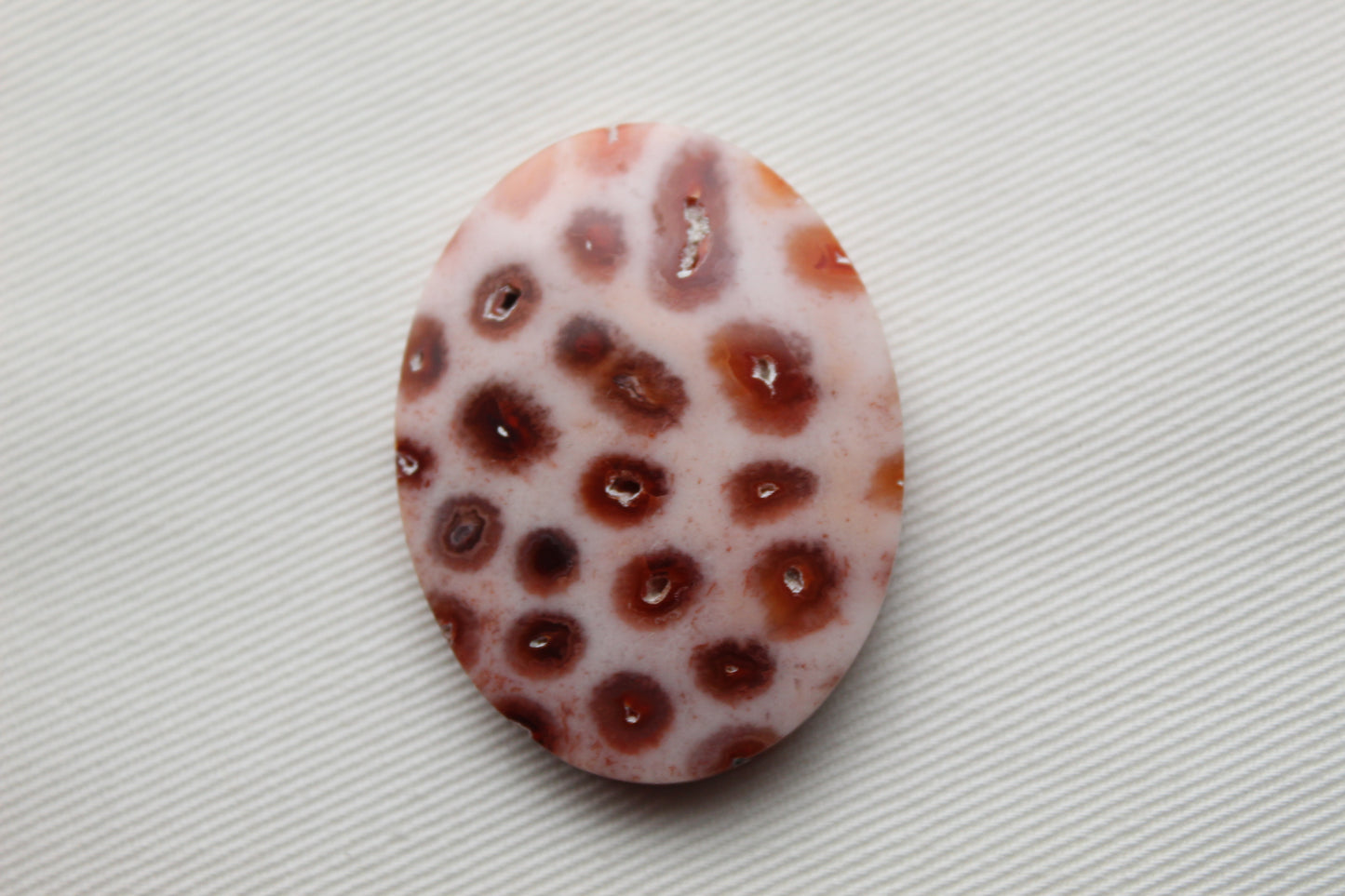 Fossilized Coral Gemstone Oval cabochon