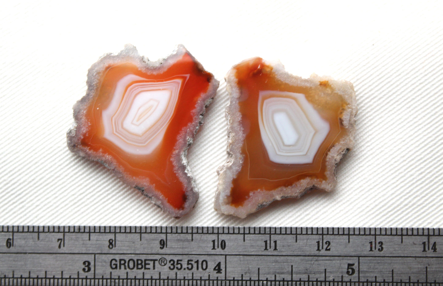 Plume Agate Pair Gemstones freeform natural