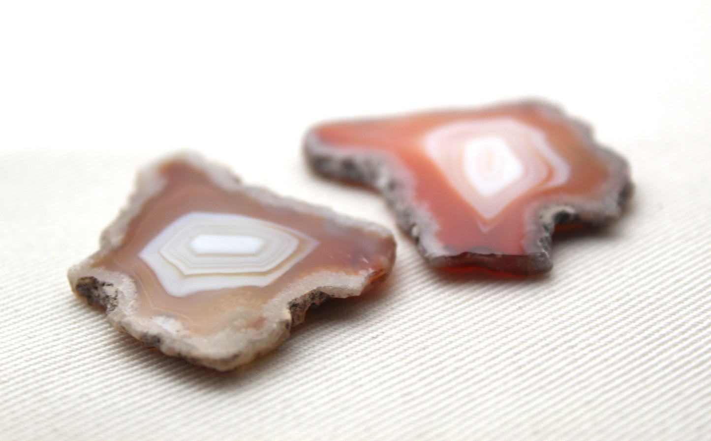 Plume Agate Pair Gemstones freeform natural