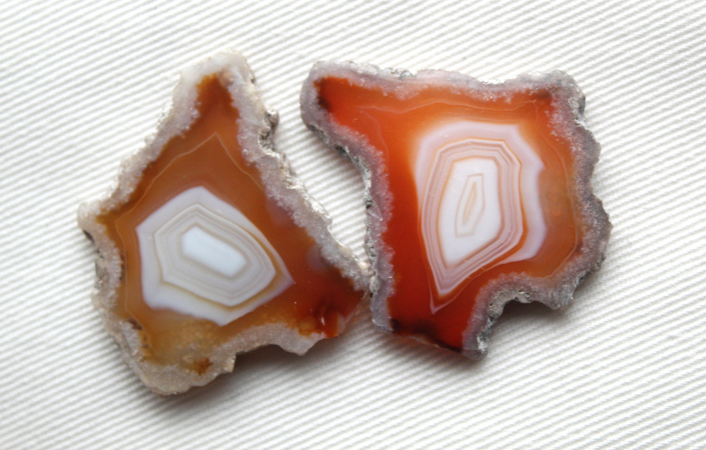 Plume Agate Pair Gemstones freeform natural