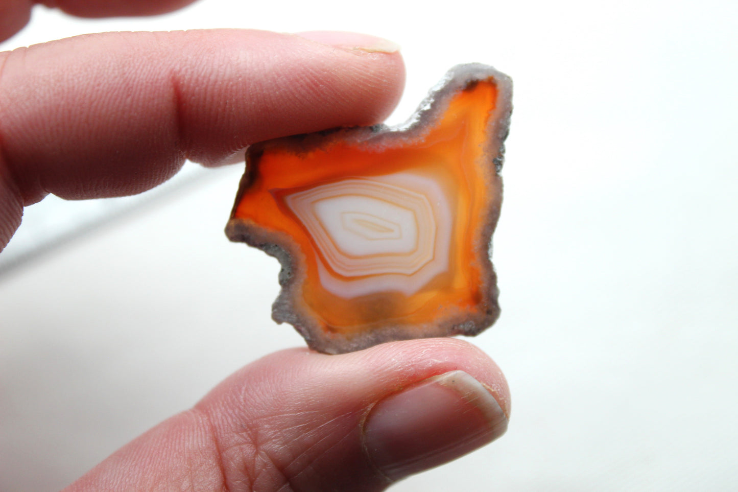 Plume Agate Pair Gemstones freeform natural