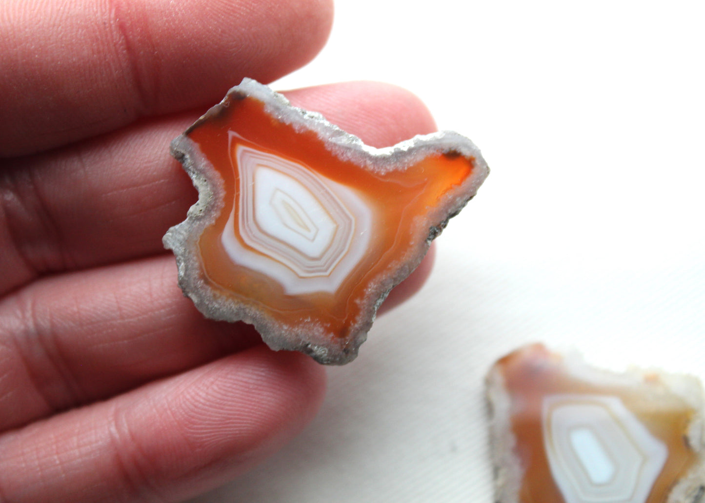 Plume Agate Pair Gemstones freeform natural