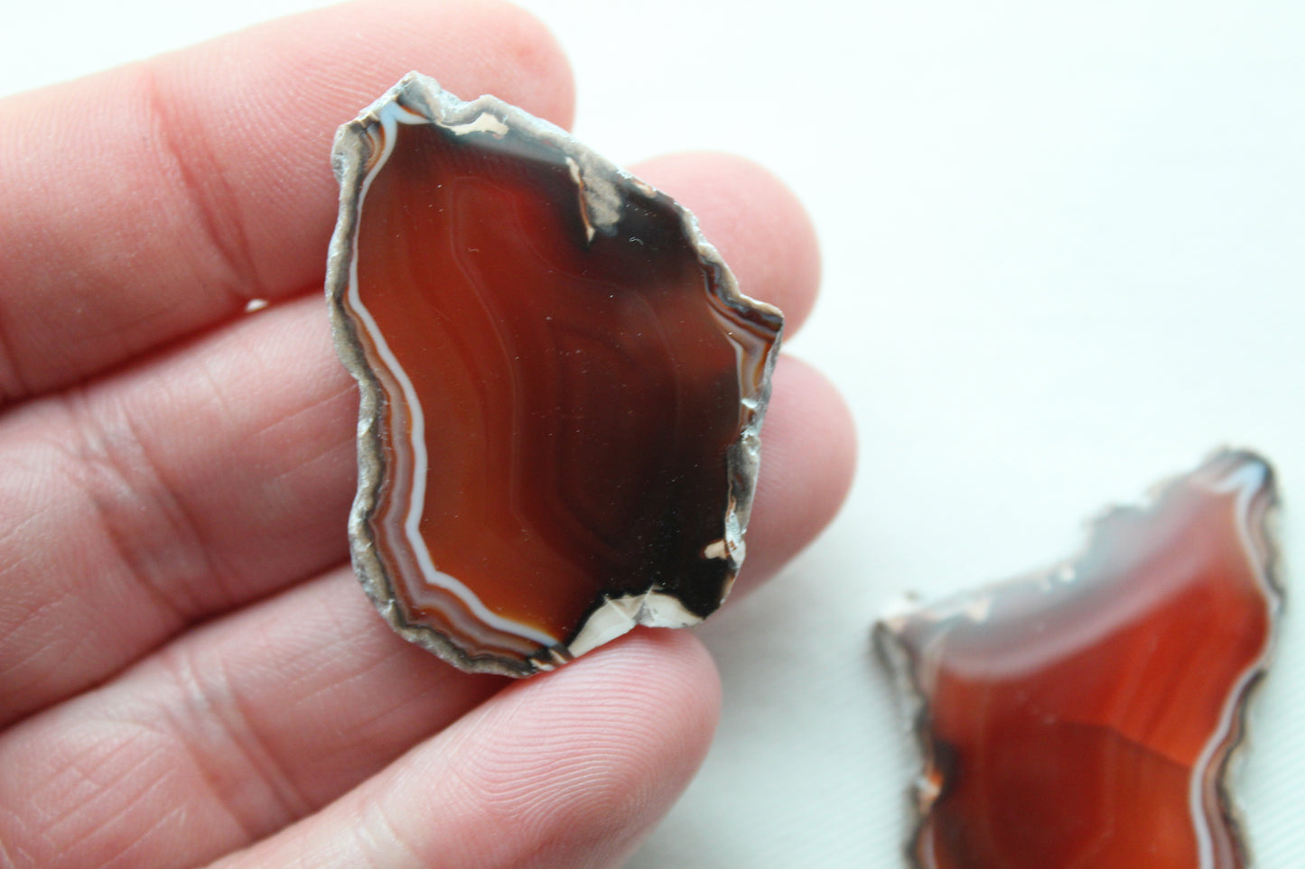 Sliced Agate Pair Gemstones freeform natural