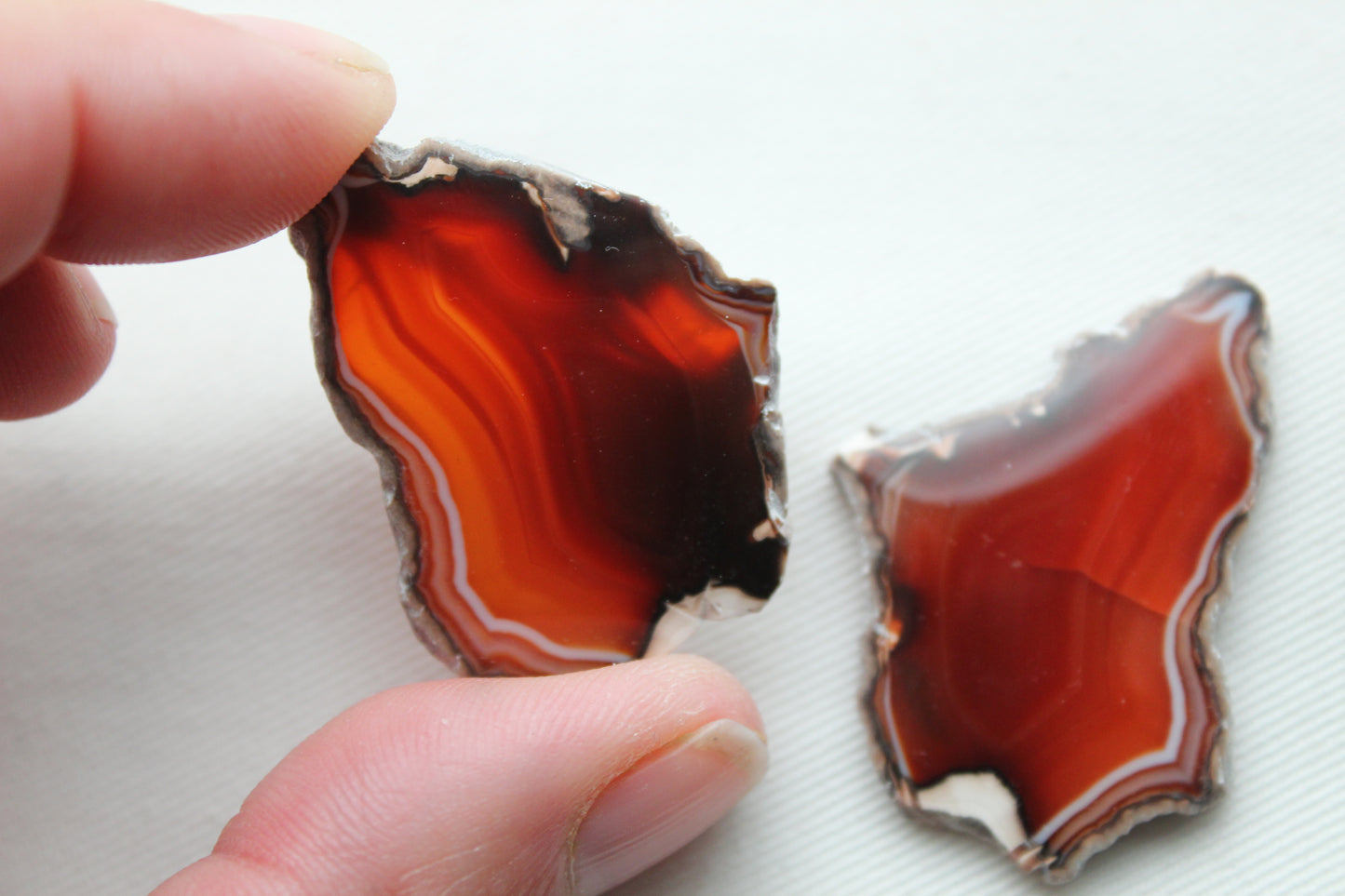 Sliced Agate Pair Gemstones freeform natural