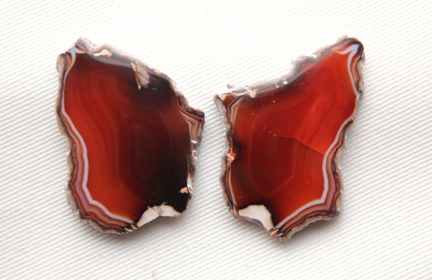 Sliced Agate Pair Gemstones freeform natural