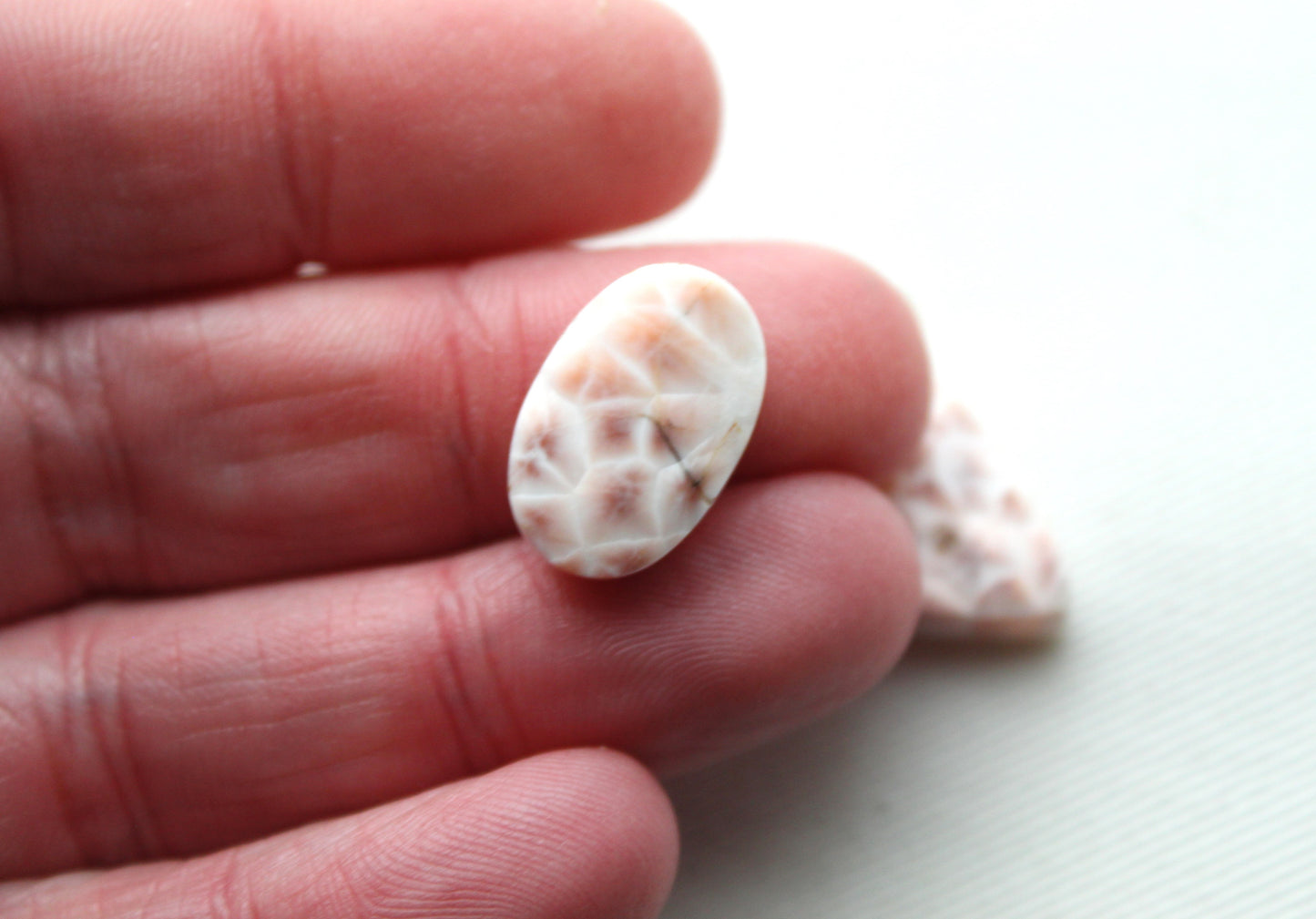 TWO small Thomsonite freeform Cabochon pink gemstone