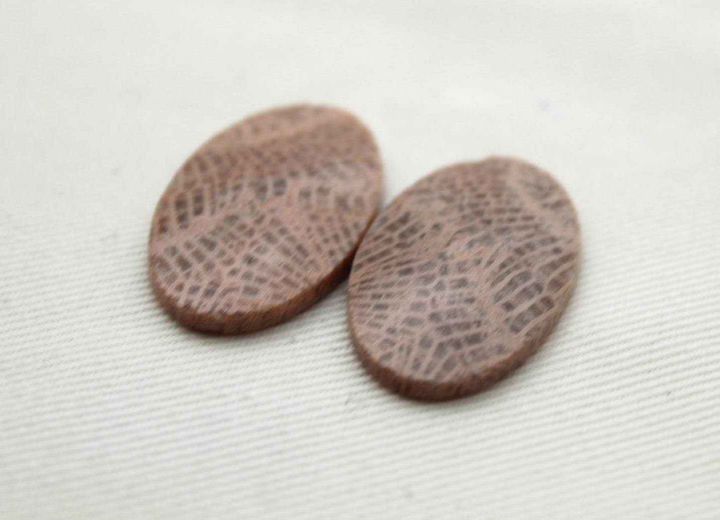 Fossil coral pair cabochons oval beige