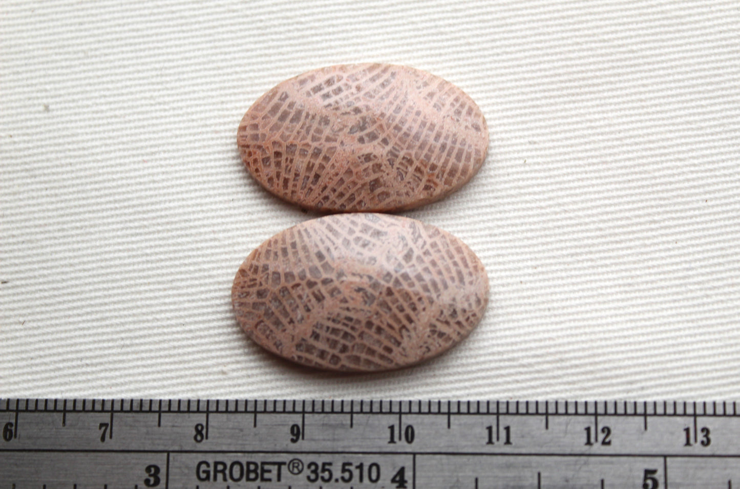 Fossil coral pair cabochons oval beige