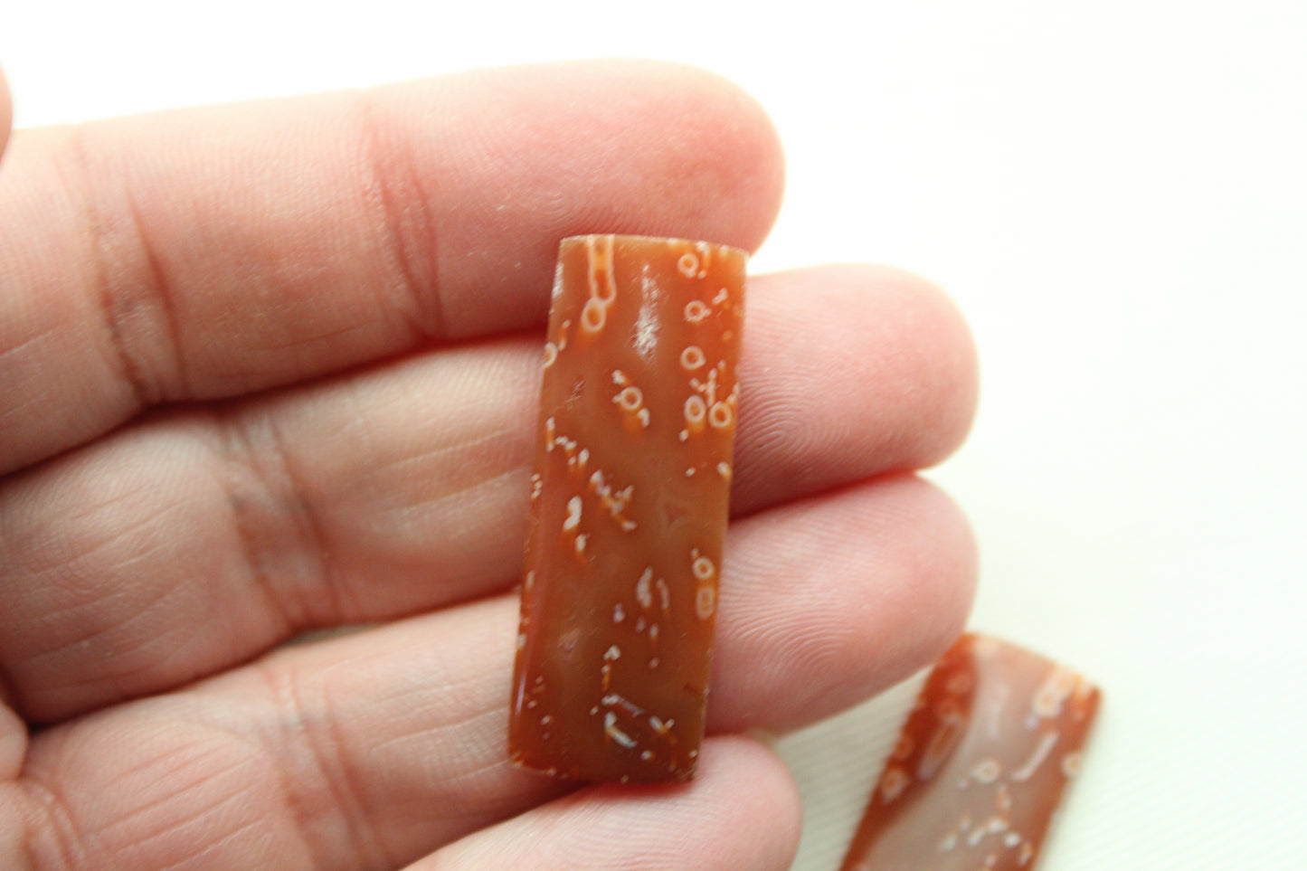 Tube Carnelian Cabochon Pair Transludent Red gemstone