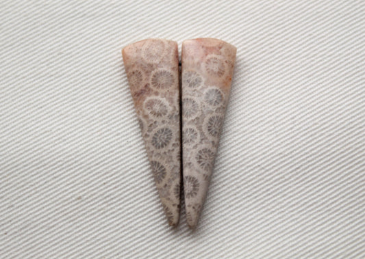 Thin Fossilized Coral Pair of Gemstones cabochon beige natural