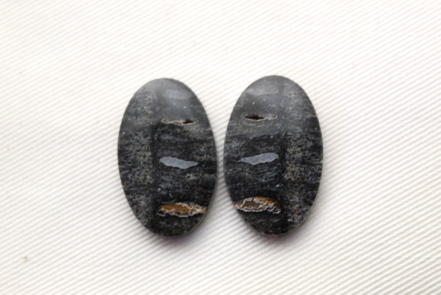 Palm Root Bone Cabochon Pair natural gemstones Oval