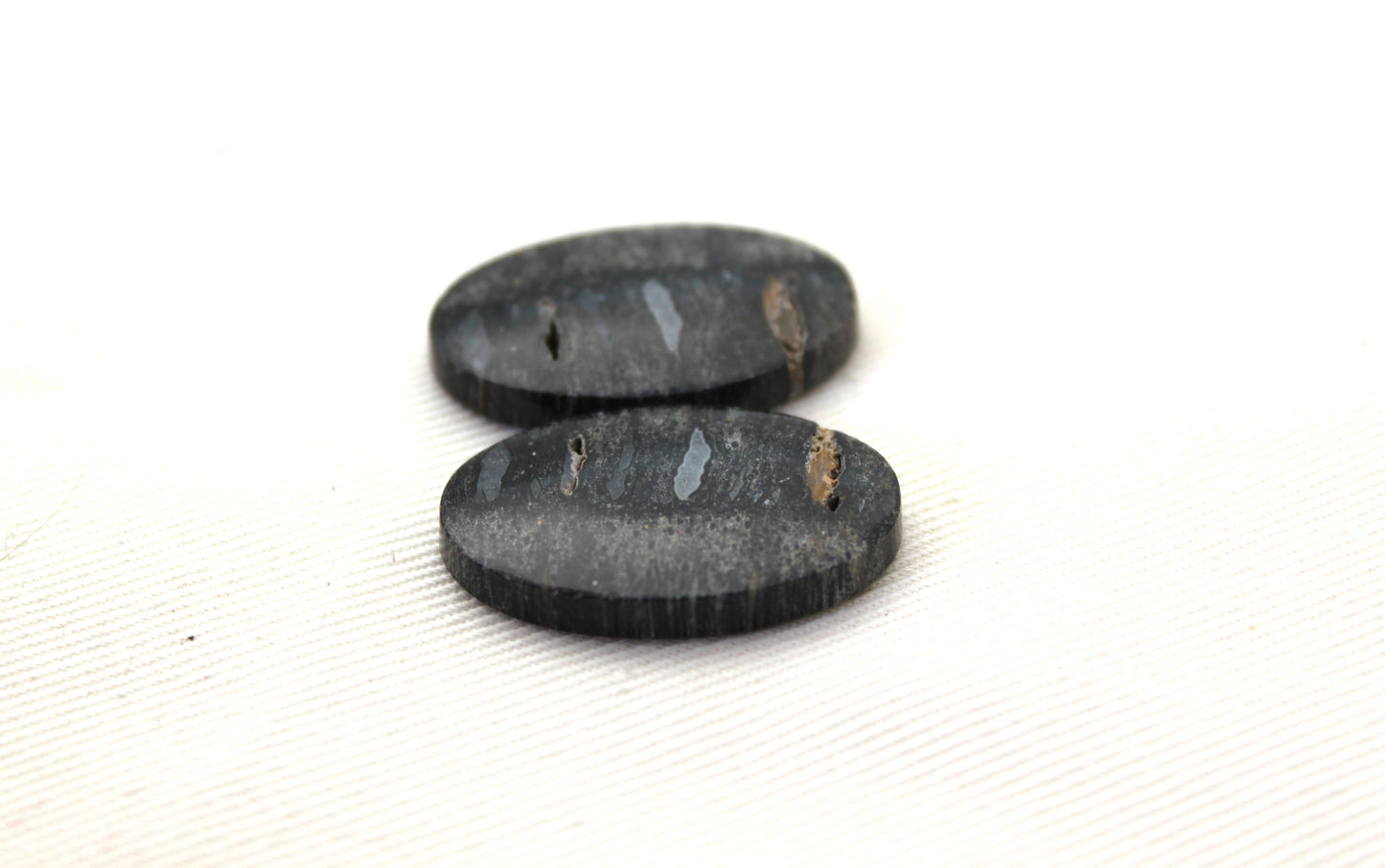 Palm Root Bone Cabochon Pair natural gemstones Oval