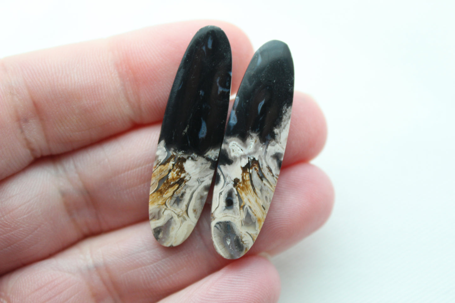 Long Petrified Palm Wood Cabochon Pair Oval