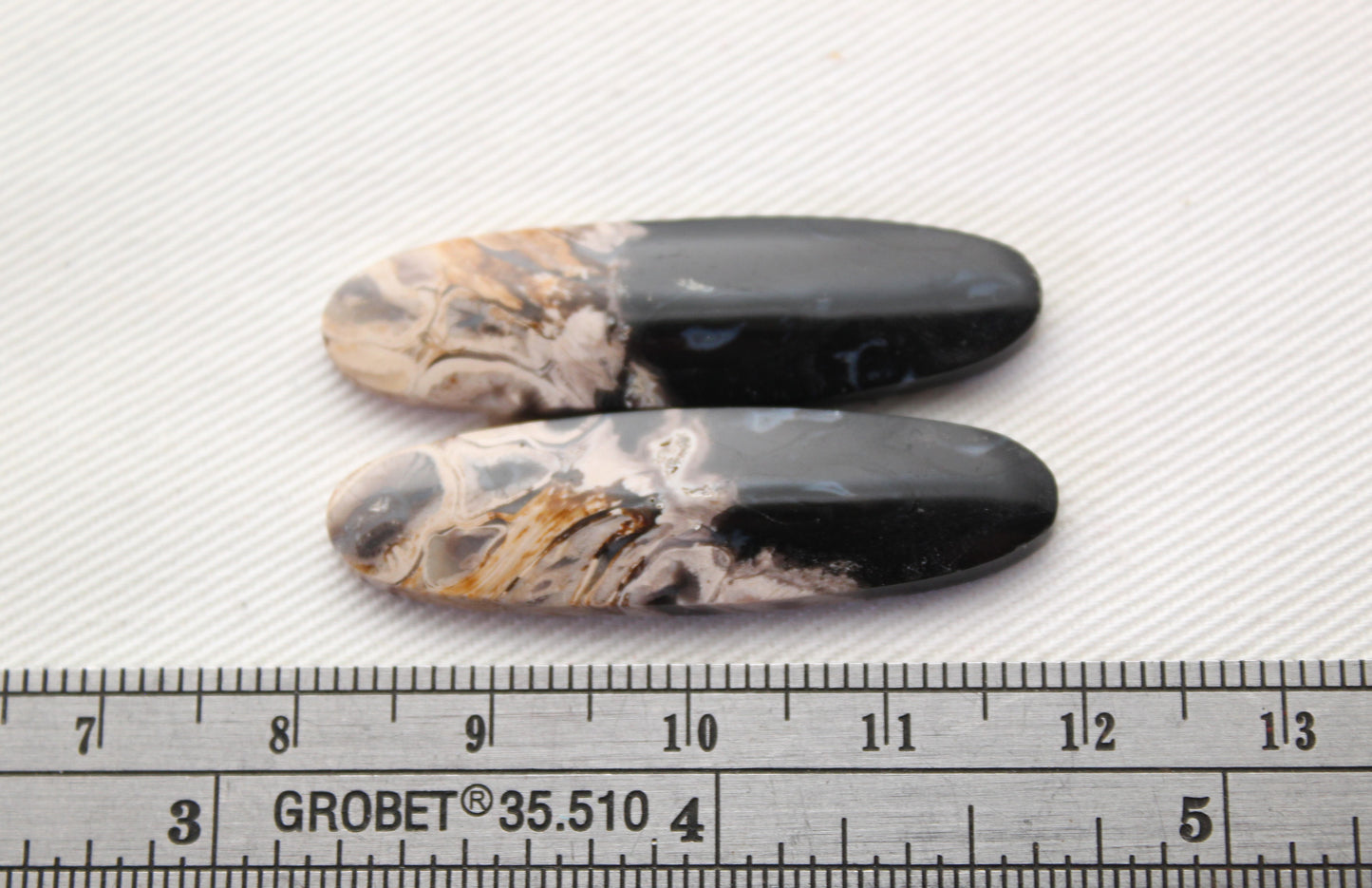 Long Petrified Palm Wood Cabochon Pair Oval