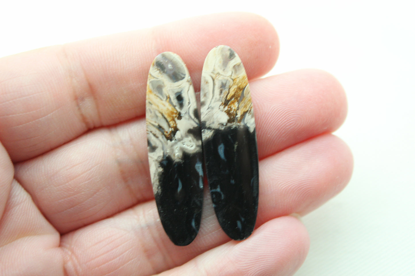 Long Petrified Palm Wood Cabochon Pair Oval