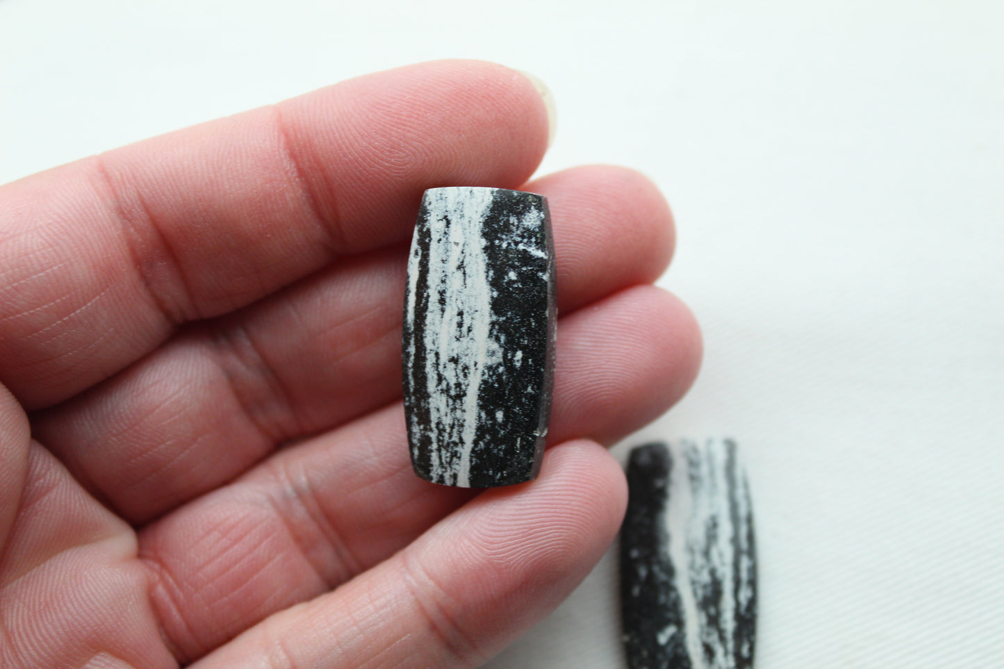 Pair of Petrified Wood Cabochons Rectangle