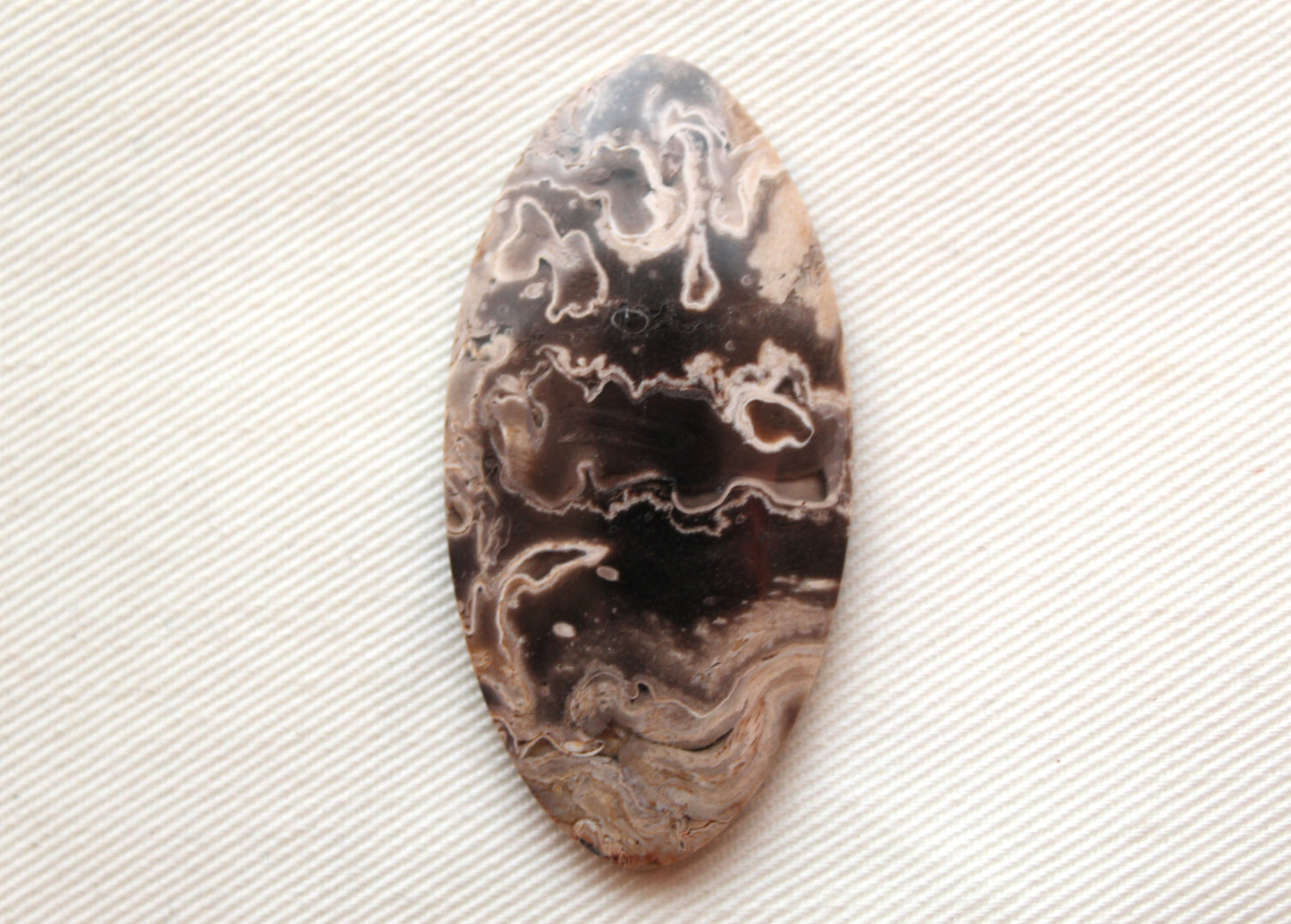 Fossil Palmwood Cabochon Gemstone Oval