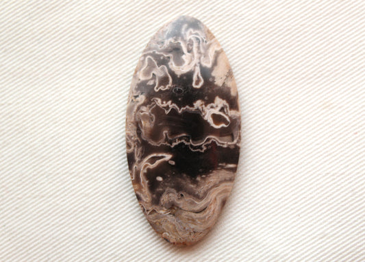 Fossil Palmwood Cabochon Gemstone Oval