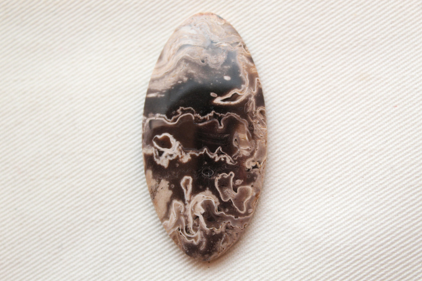 Fossil Palmwood Cabochon Gemstone Oval