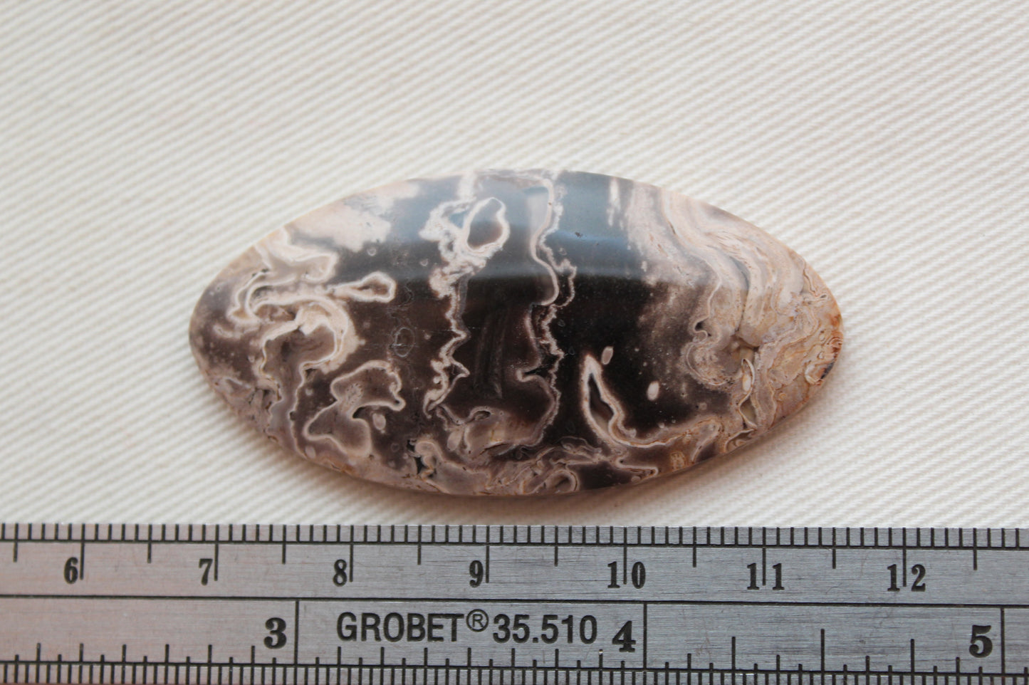 Fossil Palmwood Cabochon Gemstone Oval