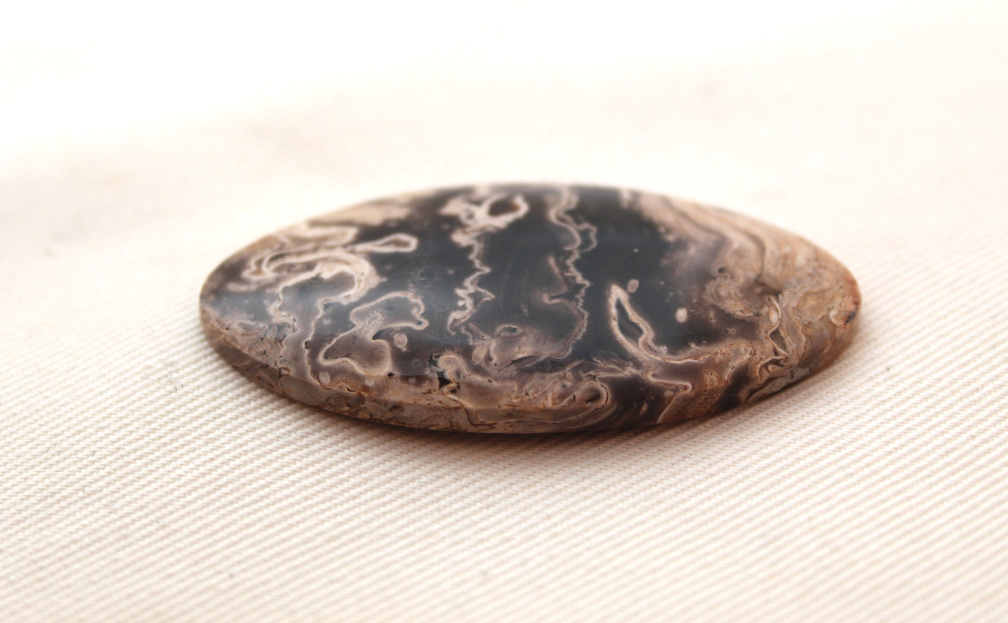 Fossil Palmwood Cabochon Gemstone Oval