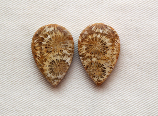 Fossilized Coral Pair of Gemstones cabochon beige natural