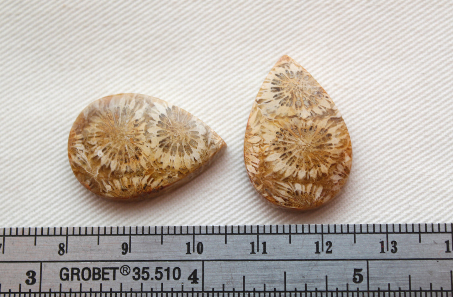 Fossilized Coral Pair of Gemstones cabochon beige natural