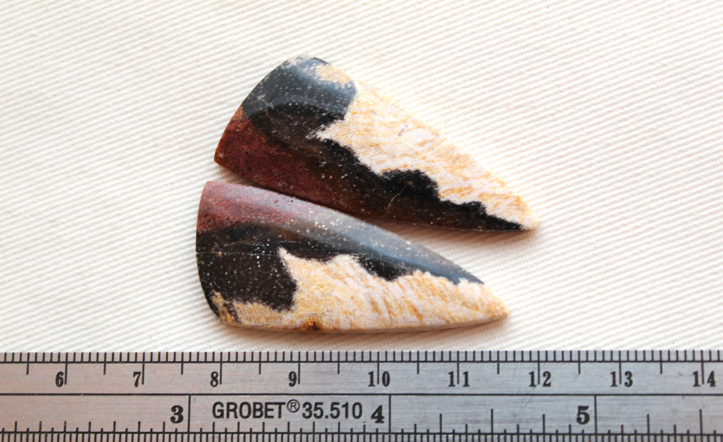 Nice pair of Petrified Wood Cabochons