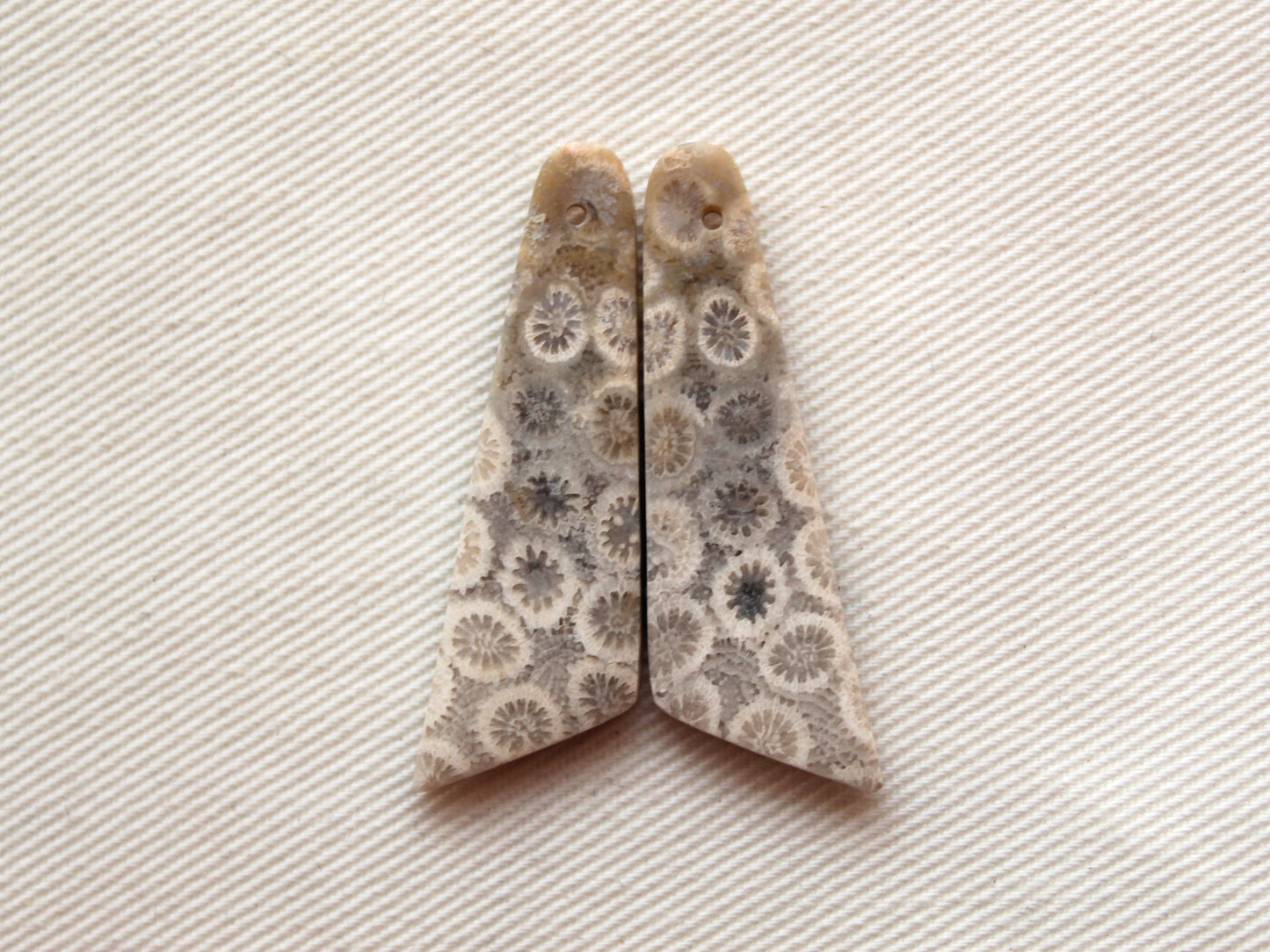 Beige Fossil coral thin pair cabochons DRILLED