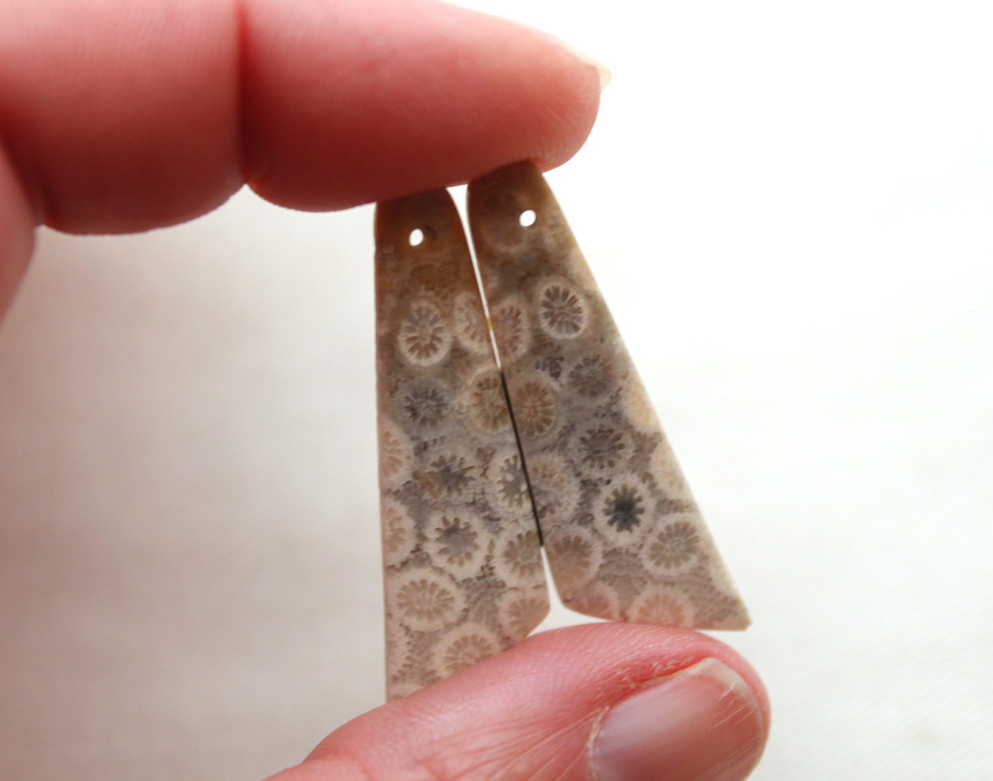 Beige Fossil coral thin pair cabochons DRILLED