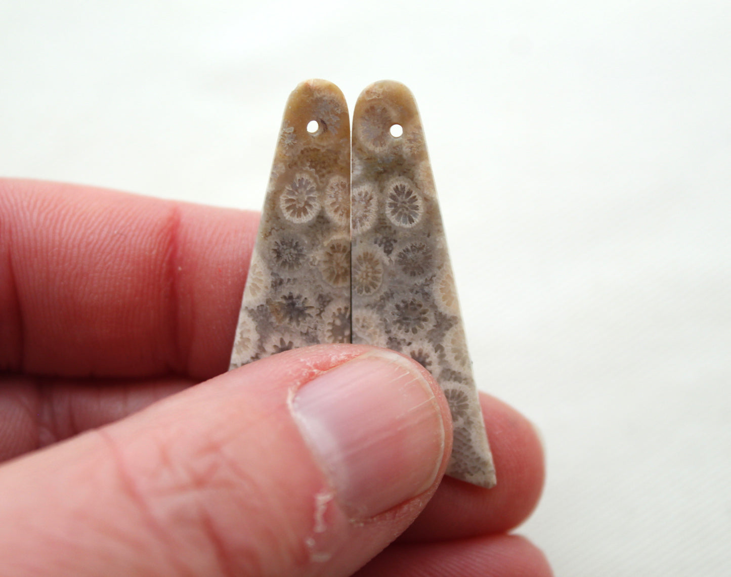 Beige Fossil coral thin pair cabochons DRILLED