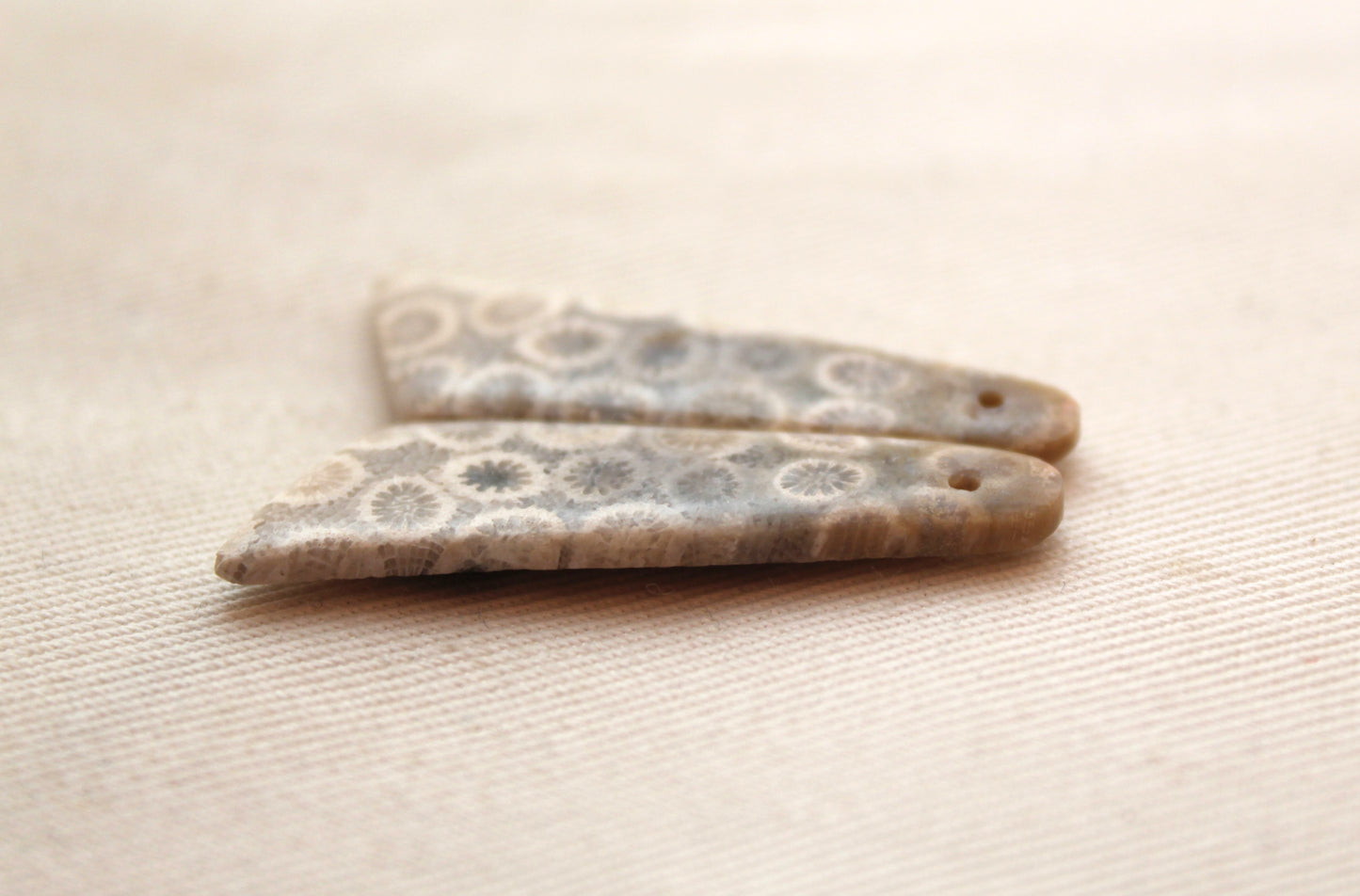 Beige Fossil coral thin pair cabochons DRILLED