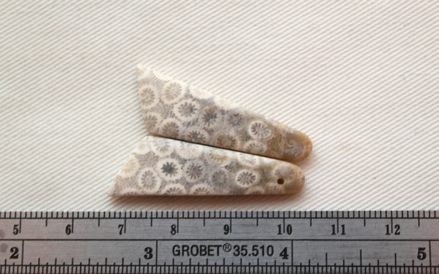 Beige Fossil coral thin pair cabochons DRILLED