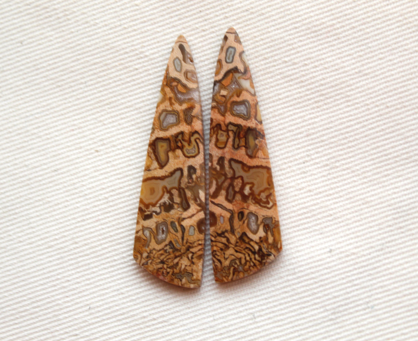 Fossil Palmwood Pair Cabochon Gemstone with druzy pockets