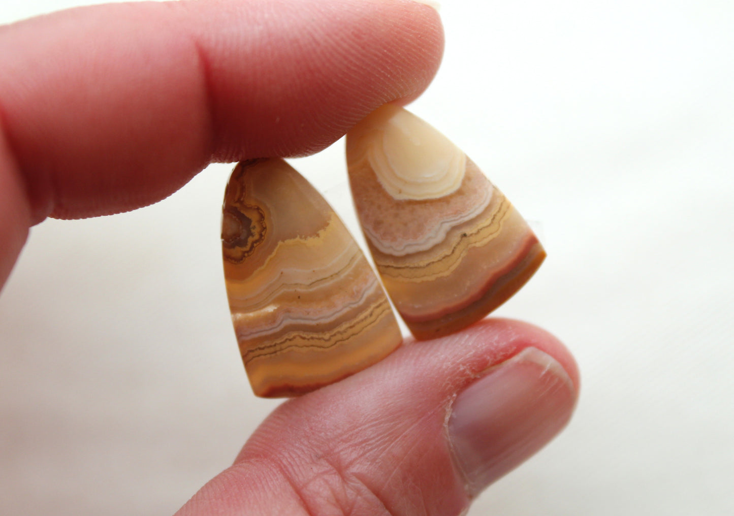 Lace Agates Cabochons Gemstone Pair freeform multicolors