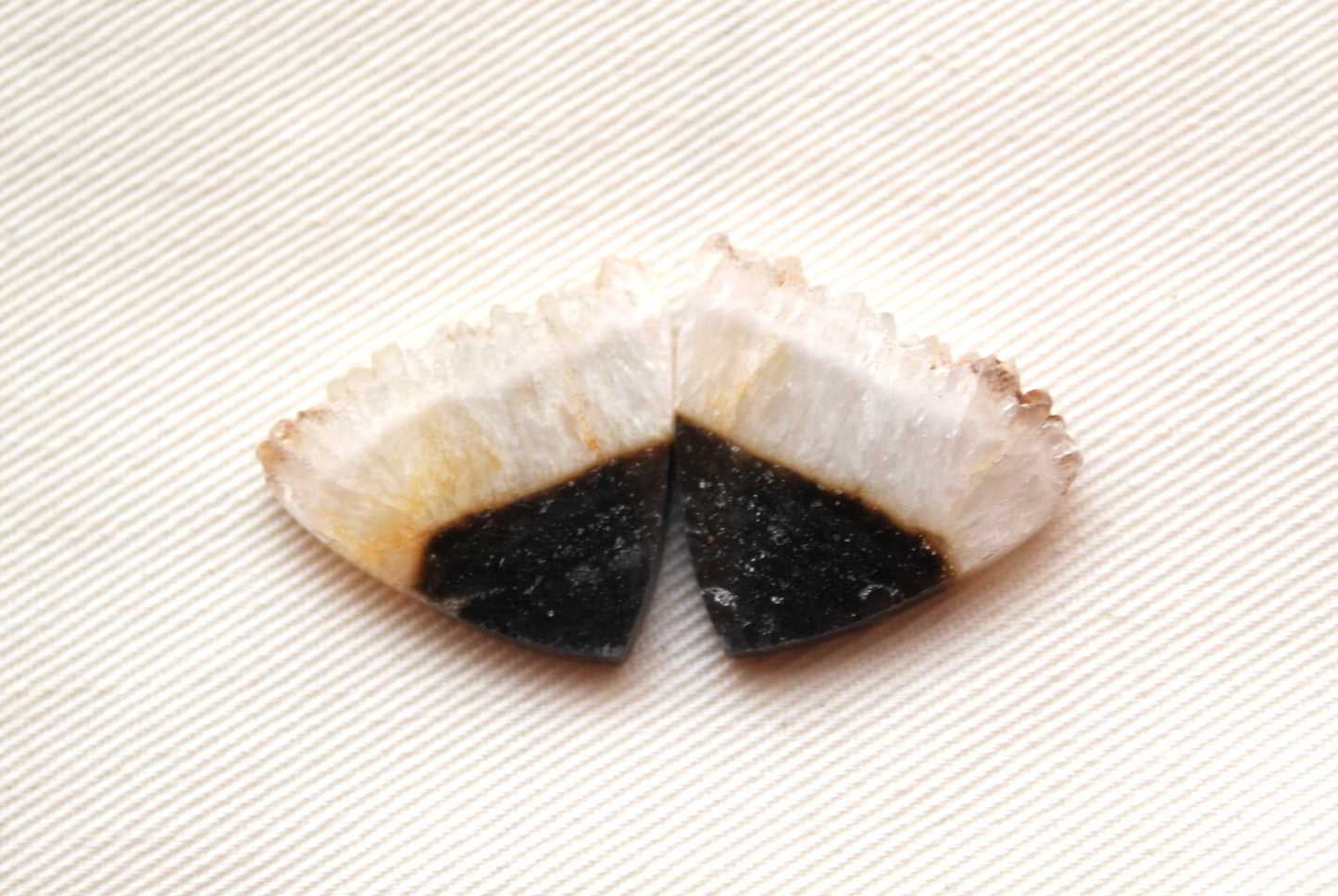 Crystal Zebra Cabochons Pair with Druzy Edges