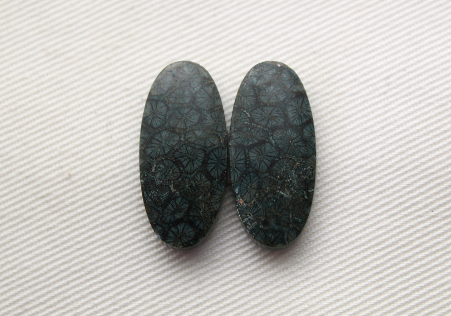 Fossil Coral Pair of Cabochons natural gemstones dark blue green