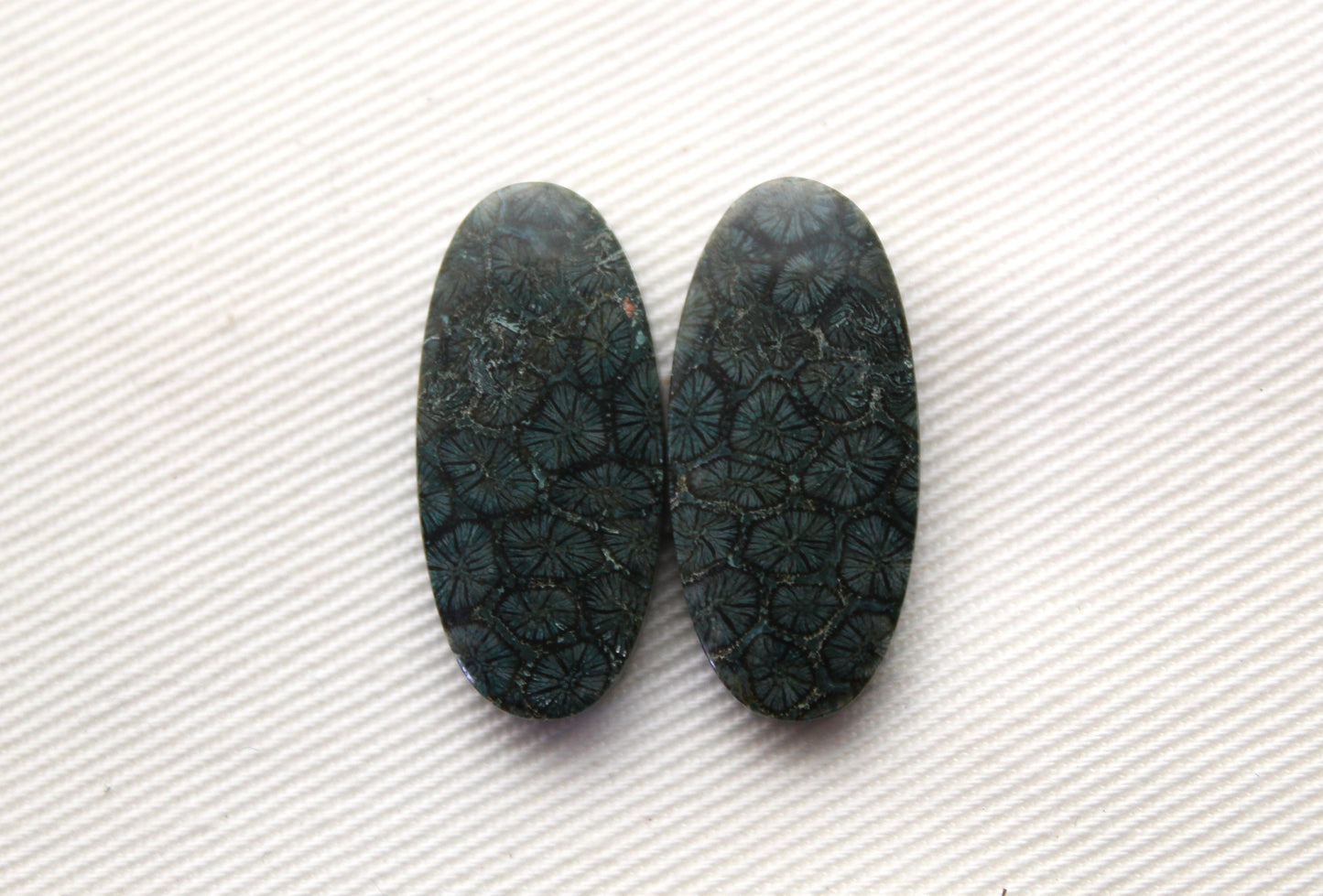 Fossil Coral Pair of Cabochons natural gemstones dark blue green