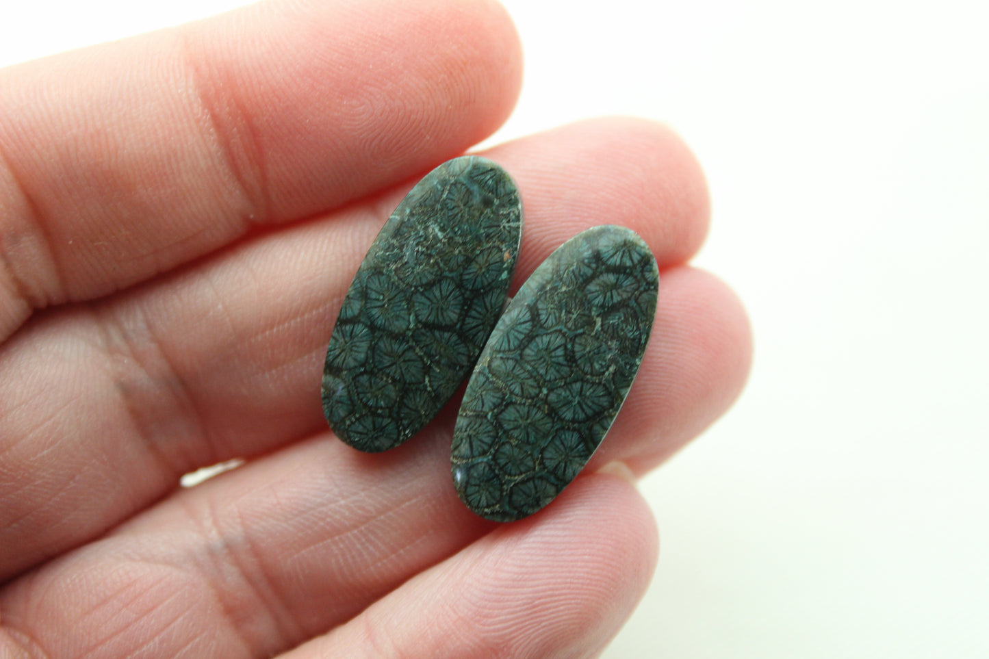 Fossil Coral Pair of Cabochons natural gemstones dark blue green