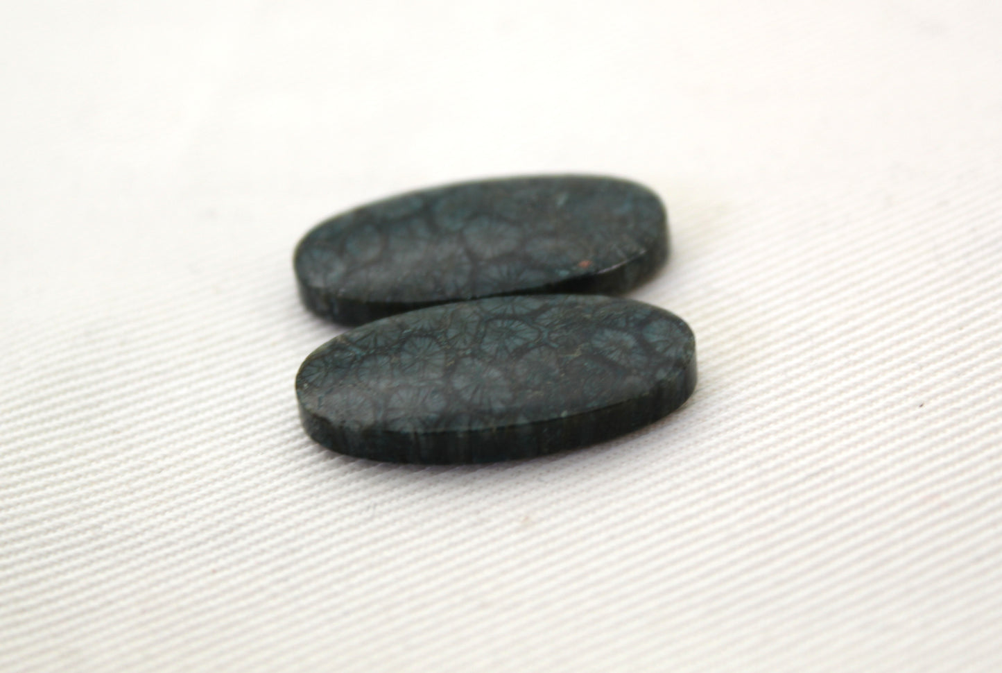 Fossil Coral Pair of Cabochons natural gemstones dark blue green