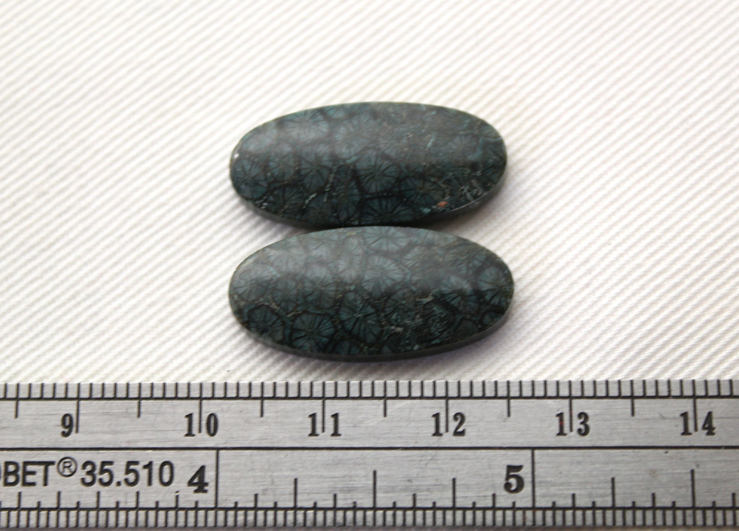 Fossil Coral Pair of Cabochons natural gemstones dark blue green