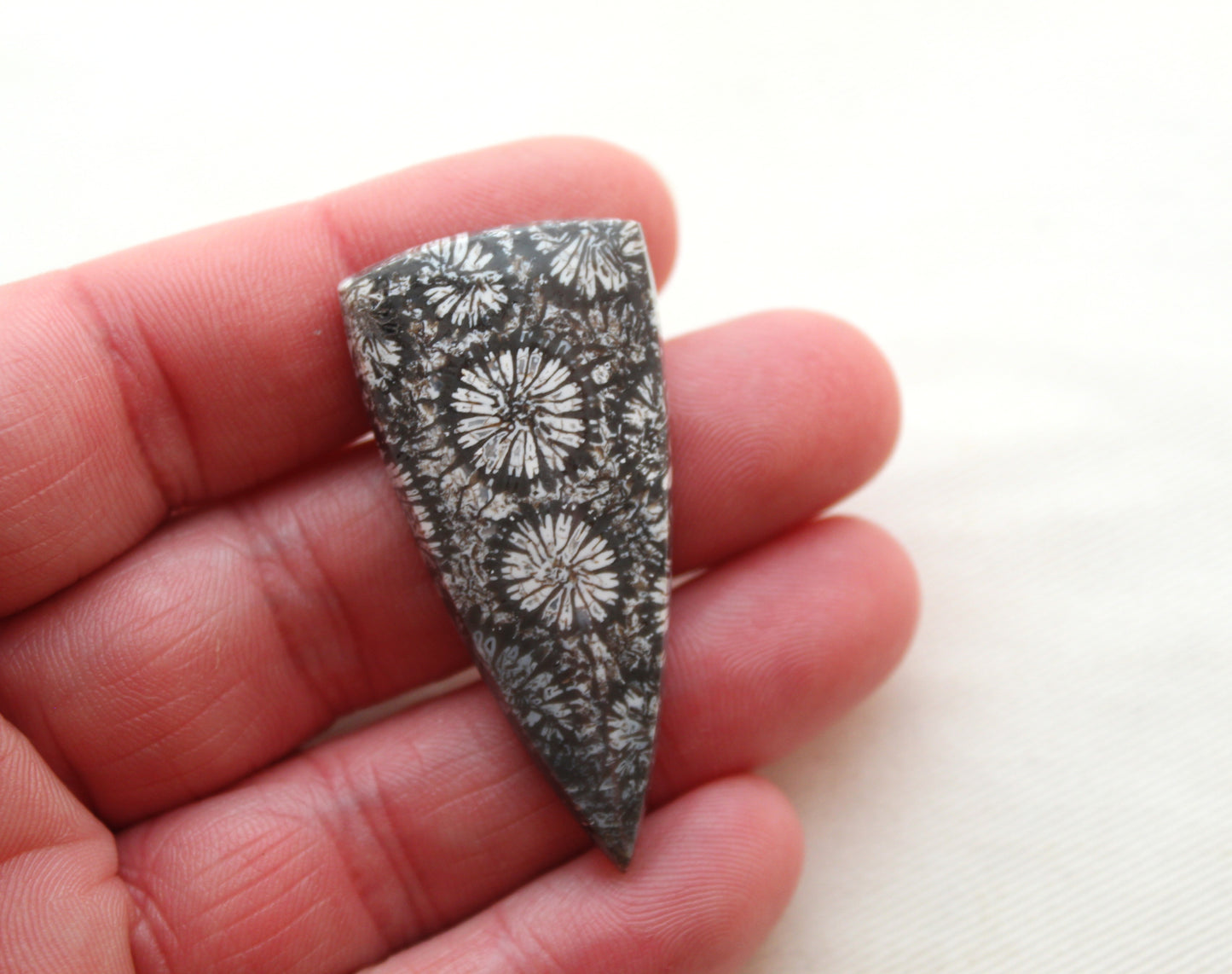 Large Fossilized Coral Gemstone cabochon triangle